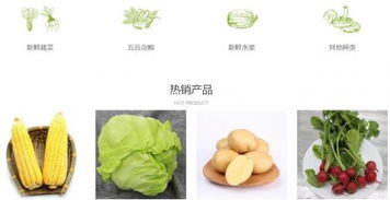 深圳农产品 农产品市场竞争的全新方向